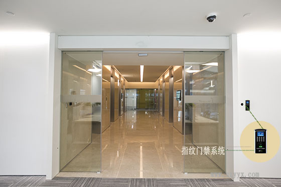 鋼化玻璃下载好色先生视频-騰訊案例圖片